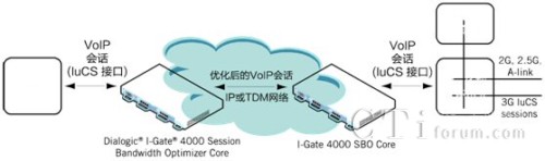 3G ƄӾW(wng)j(lu) luCS VoIP Ԓ(yu)